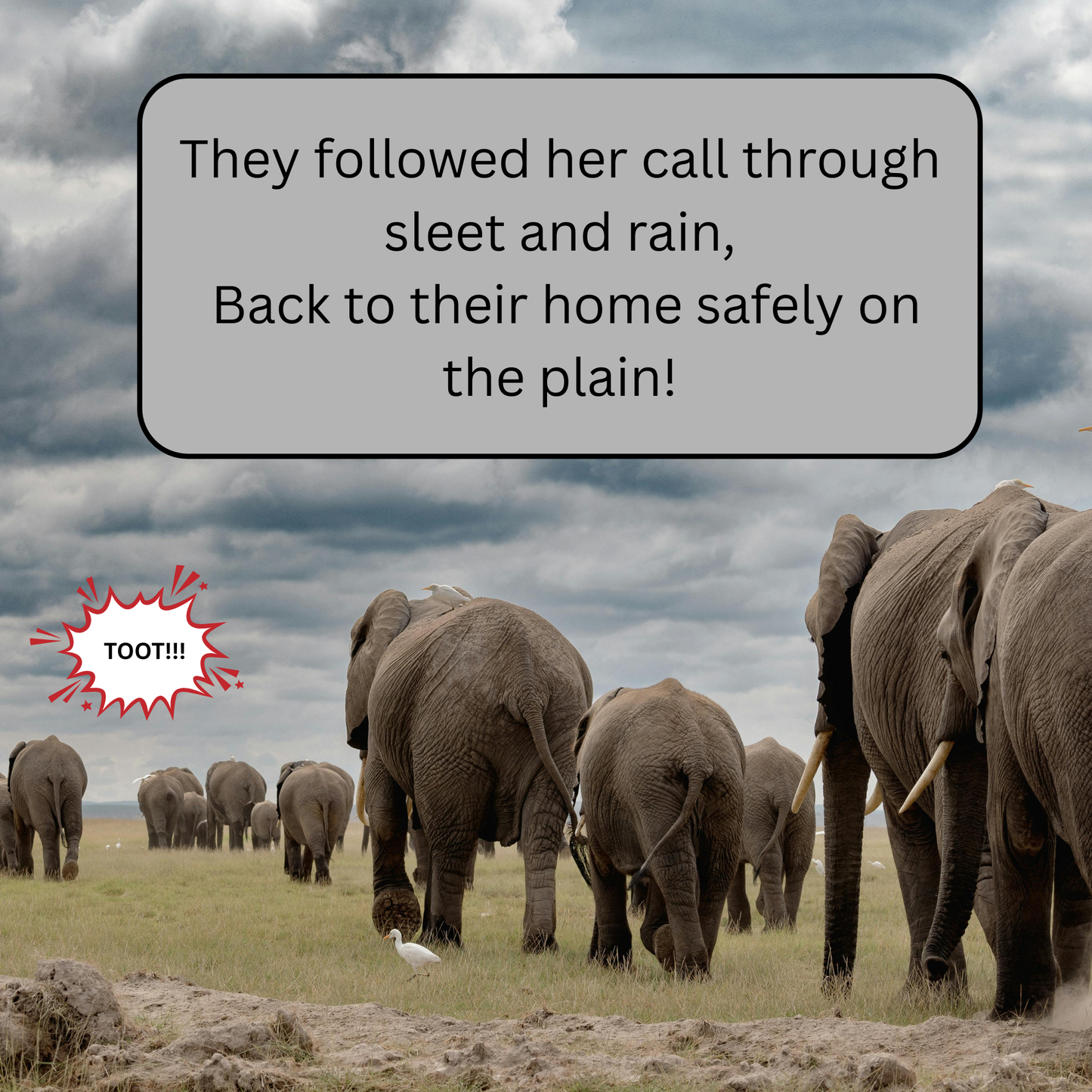 Lil' Noots Toots: A Cute Elephant Story About Courage, Perseverance, and Self-Confidence for Kids