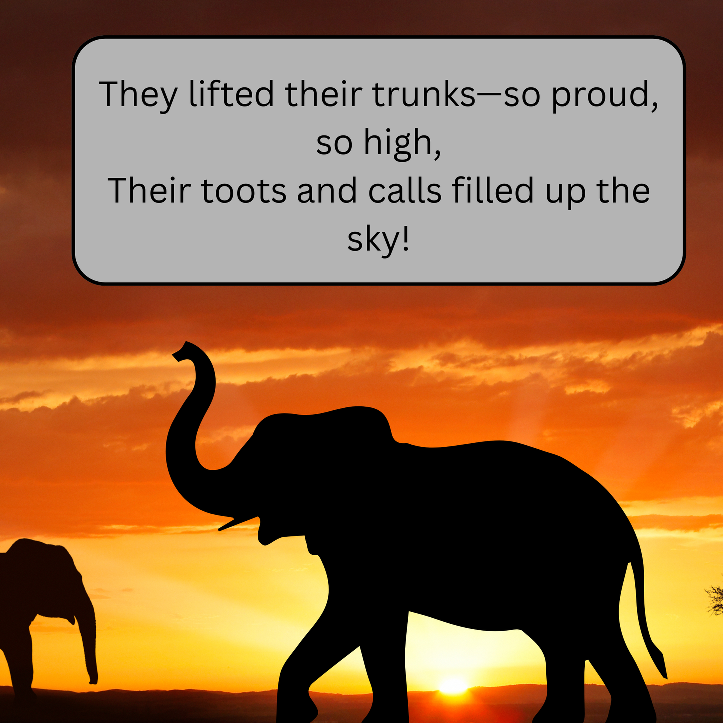 Lil' Noots Toots: A Cute Elephant Story About Courage, Perseverance, and Self-Confidence for Kids