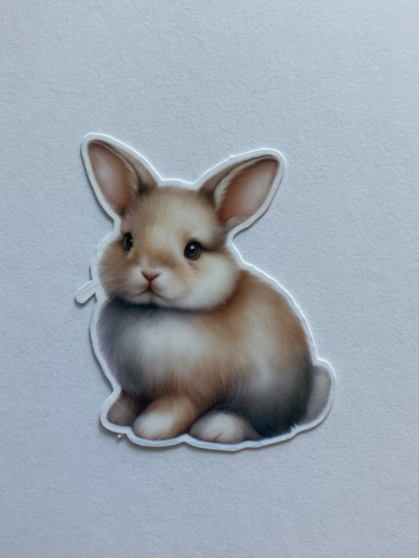 Charlie the Bear Book/Character Sticker Bundle
